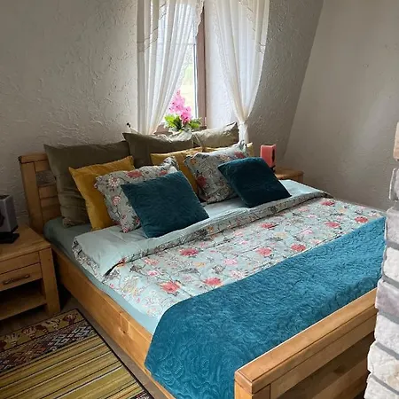 Sielska Dolina Czarny Labedz Holiday home *